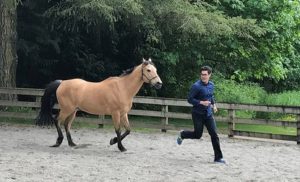 Leadership Training with Horses Washington