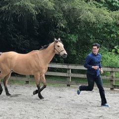 Leadership Training with Horses Washington-2