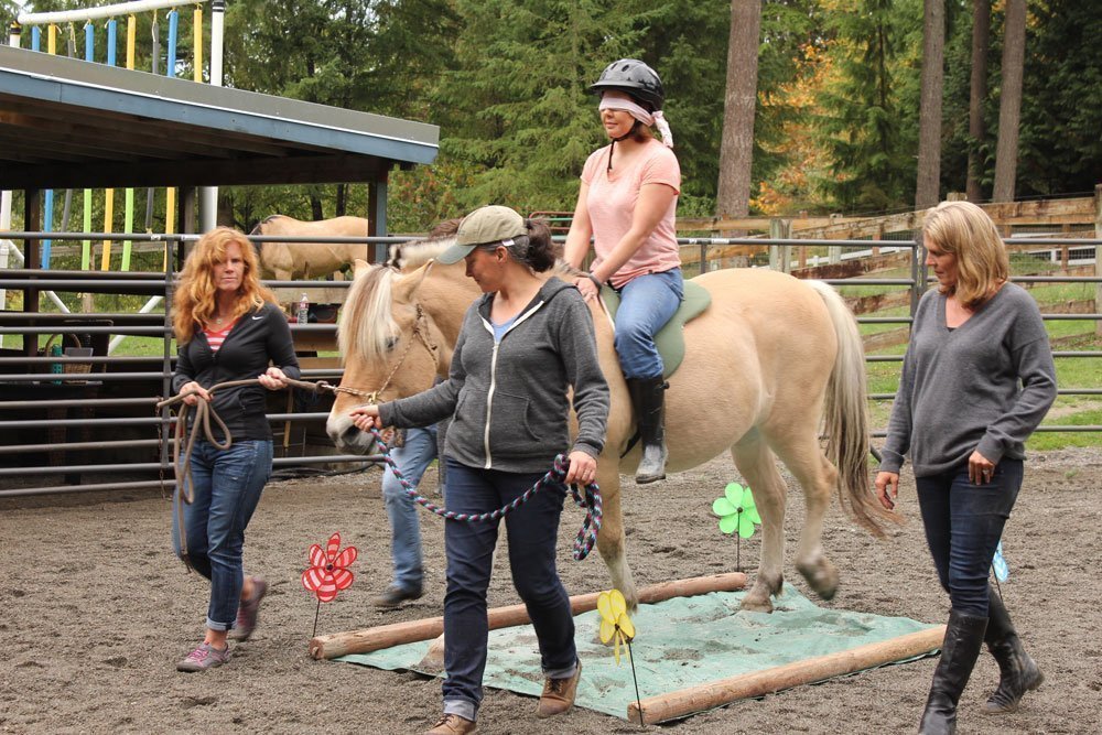 horse leadership training seattle