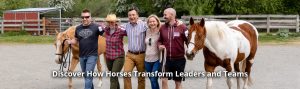 leadership with horses program seattle