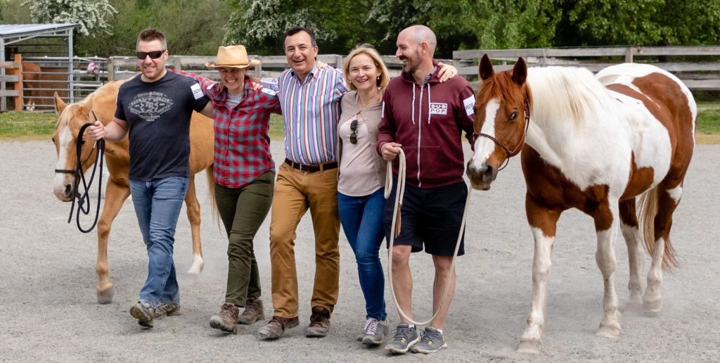 Experiential leadership development with horses